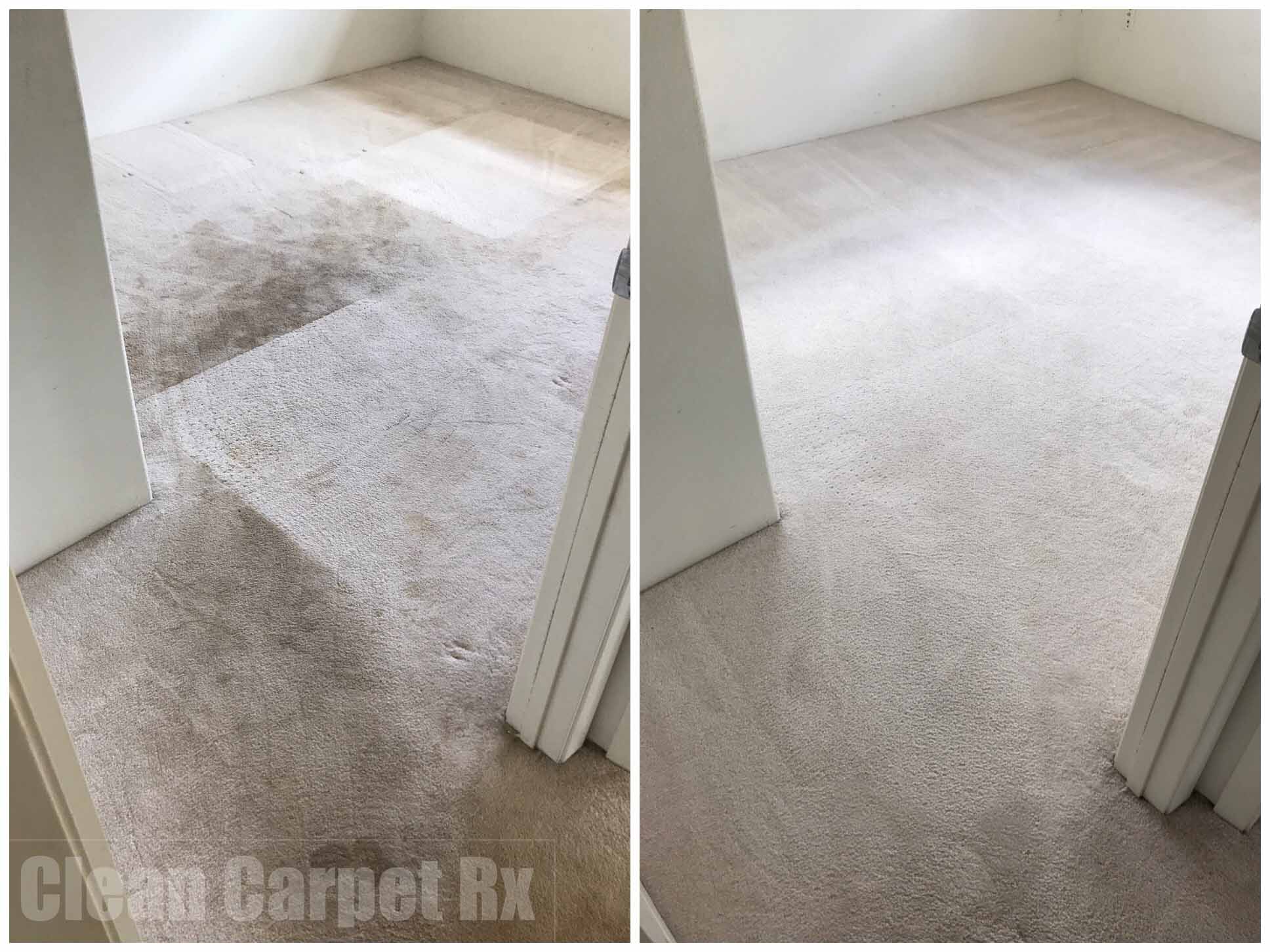 Do You Have to Clean Carpets When You Move Out?
